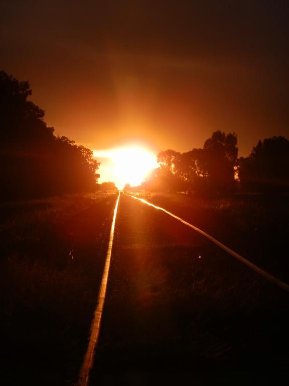 Narrabri Motel And Caravan Park ภายนอก รูปภาพ